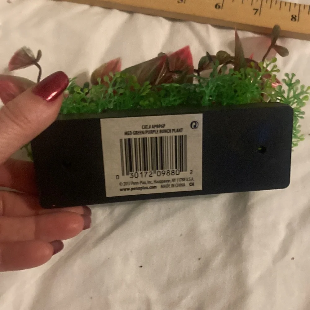 Aquarium green bunch plant